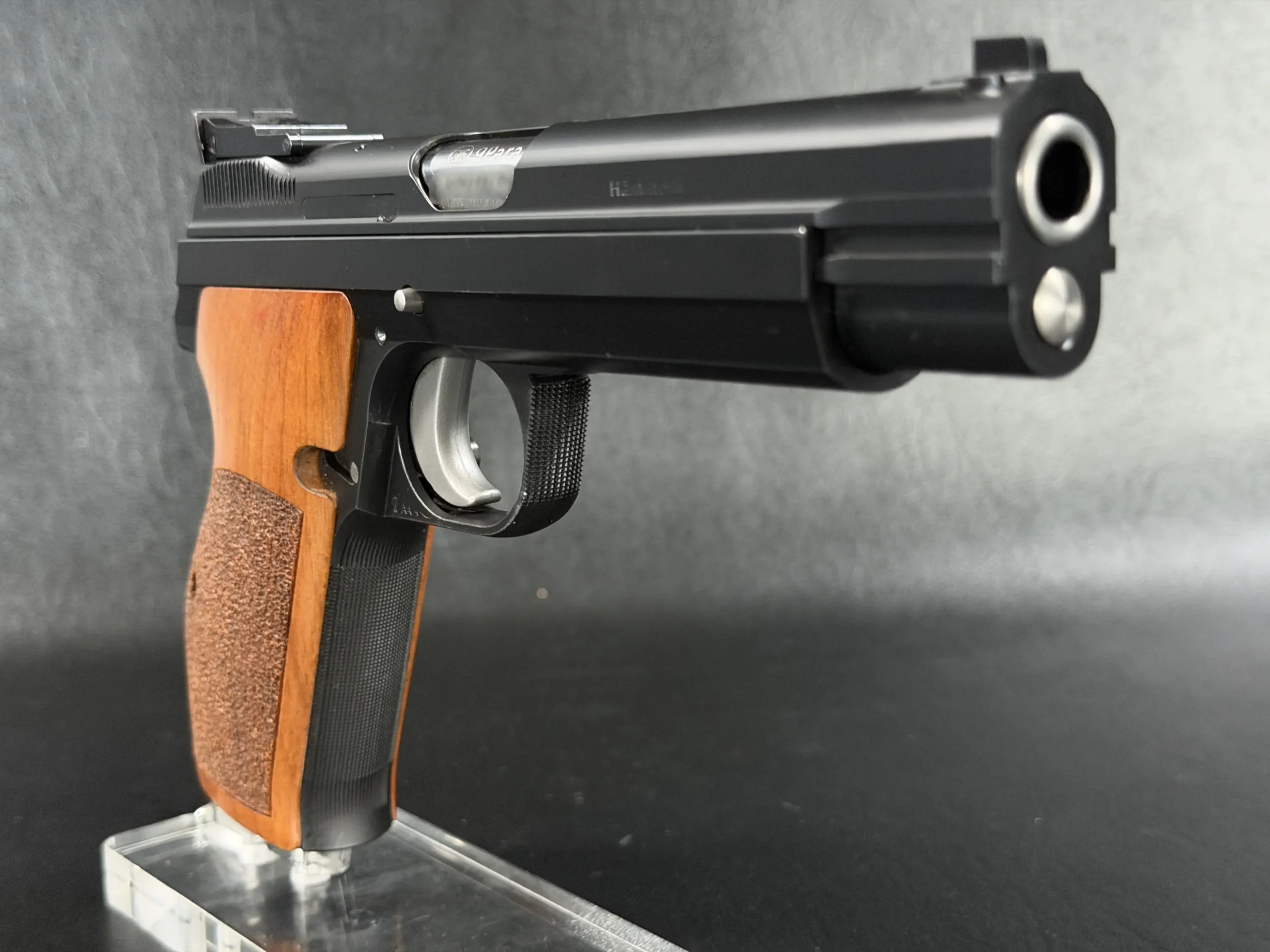 SIG Sauer P210 6S factory test target