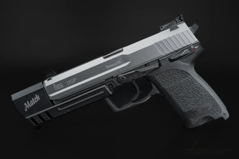 Exploring the Features of HK USP
