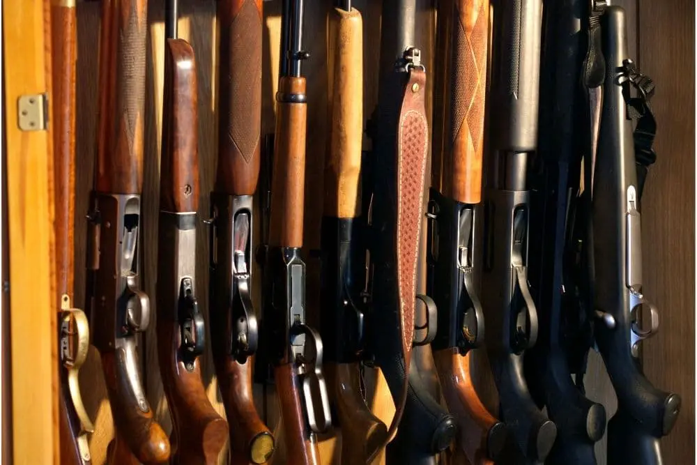 Rare and Unique Collectible Rifles
