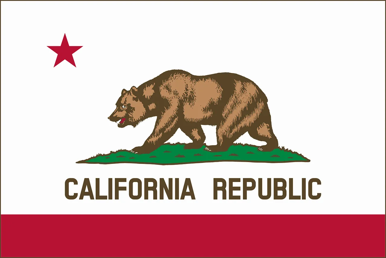 How to sell my gun in California