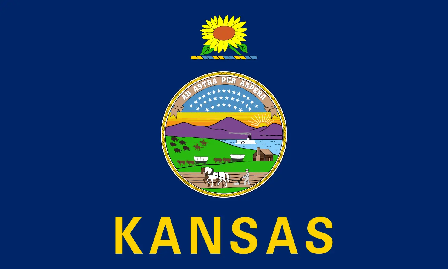 How to sell my gun in Kansas