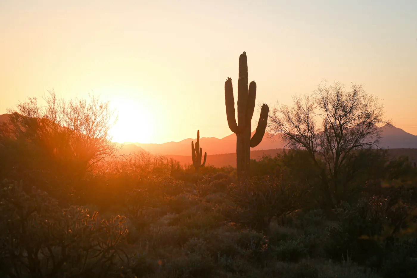 How to sell my gun in Phoenix Arizona