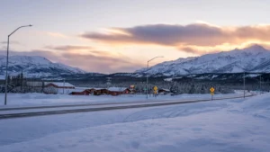 How to Sell My Gun Online in Fairbanks, Alaska