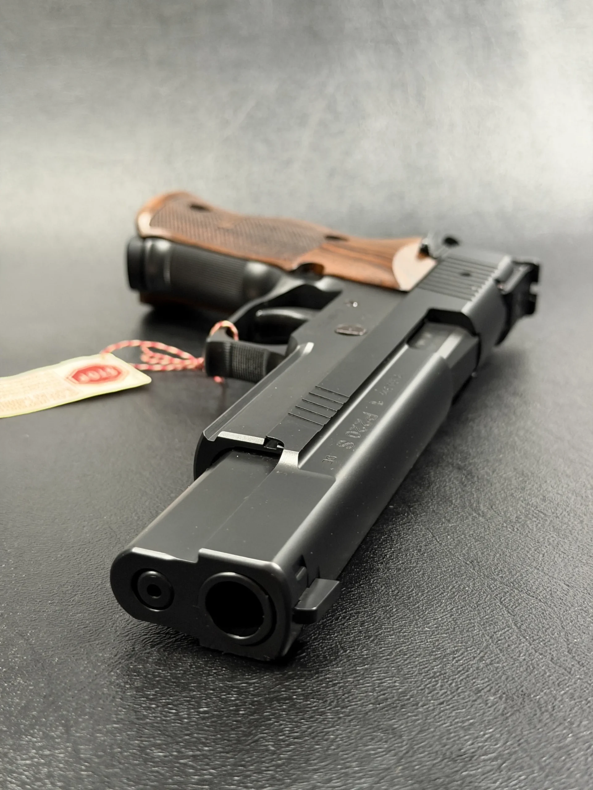 SIG Sauer P220 X Six Black rear sight detail